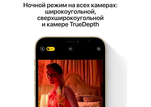 Apple iPhone 12 Pro Max 128GB Graphite купить в Москве по низкой цене