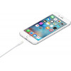 Кабель Apple Lightning/USB 0.5 м