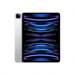 iPad Pro
